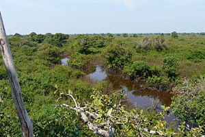 Le Tonlé Sap, un lac unique