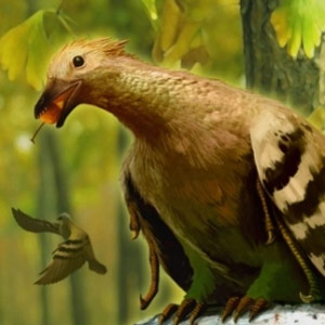 Certains oiseaux préhistoriques avaient déjà un jabot