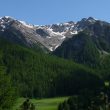 Balades ornithologiques dans le Queyras (Hautes-Alpes)