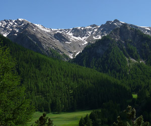 Balades ornithologiques dans le Queyras (Hautes-Alpes)