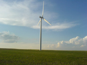 Une méthode d’étude d’impact avant l’installation d’un parc éolien
