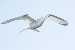Smartbird et Nano, un robot et un drone imitant les vols des oiseaux