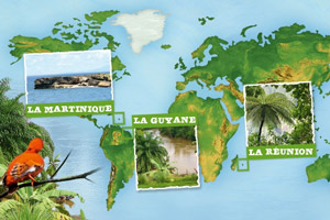 CAP DOM, le premier programme européen LIFE+ pour l’avifaune d’Outre-Mer