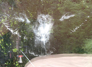 Une silhouette complète de chouette sur une fenêtre !