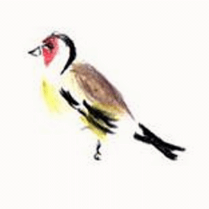 Les différentes techniques pour dessiner sur le terrain