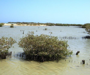 Bons spots égyptiens : les côtes de la Mer Rouge au sud d’El Gouna