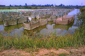 Bons spots égyptiens : Abassa et le Wadi Natrun