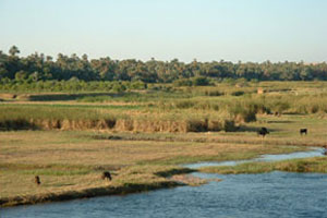Bons spots égyptiens : les environs de Louxor