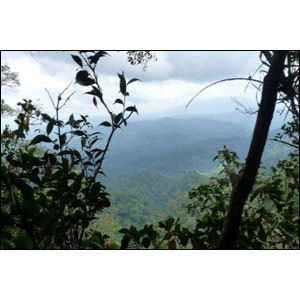 L’Imbak Canyon Scientific Expedition du 26 novembre au 5 décembre 2010