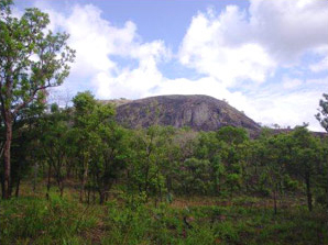 Sierra Leone 2009-2010