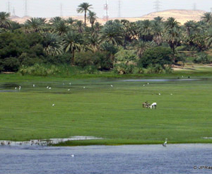 La vallée du Nil et Hurghada du 15 au 26 mars 2009