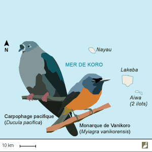 La variété et l’abondance des espèces forestières des Lau ne sont pas liées à la superficie des îles