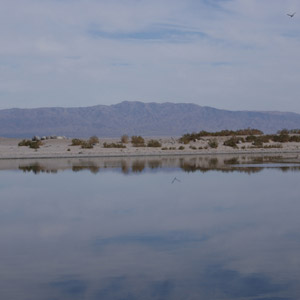 La Salton Sea, un immense lac salé créé par accident