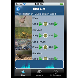 Une société britannique propose un module de reconnaissance automatique des chants et cris d’oiseaux