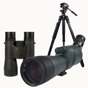 Infopub : dix bonnes raisons de choisir les produits Kite