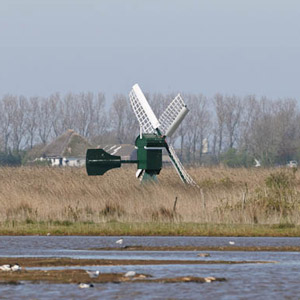 Observer les oiseaux sur le Flevoland polder et sur l’île de Texel (Pays-Bas)