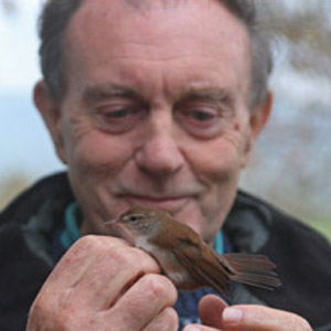 Morts massives d’oiseaux et menaces diverses : les réponses de Ian Newton
