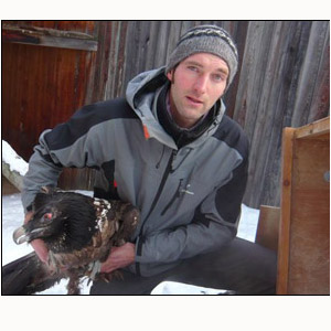 Etienne Marlé et la réintroduction du Gypaète barbu dans les Alpes