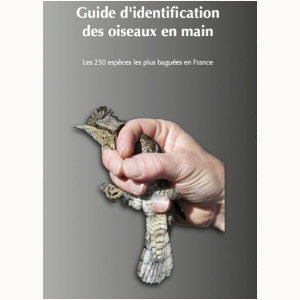 Sortie du guide d’identification pour les bagueurs de Laurent Demongin