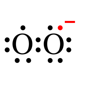 L’ion superoxyde jouerait un rôle dans l’orientation magnétique des migrateurs