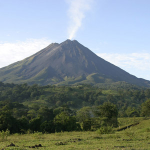 À la recherche des rapaces forestiers du Costa Rica en mai 2008