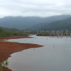 À la recherche du Kagou huppé dans le parc provincial de la Rivière bleue (Nouvelle-Calédonie)
