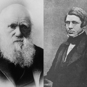 L’évolution des espèces : Darwin célébré, Wallace oublié