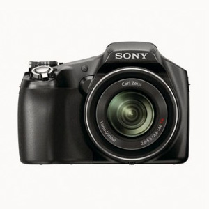 Retour d’expérience : photographier les oiseaux avec un Sony Cyber-Shot DSC-HX100V