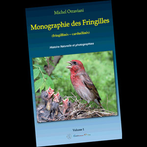Michel Ottaviani et le premier volume de la « Monographie des Fringilles »