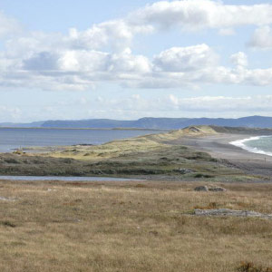 Séjour ornithologique automnal dans l’archipel de Saint-Pierre et Miquelon