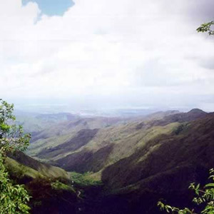 Voyage ornithologique au Venezuela en mars 2007