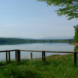 Observer les oiseaux du lac de Puydarrieux