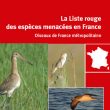 Jacques Comolet-Tirman et la Liste Rouge des oiseaux nicheurs de France