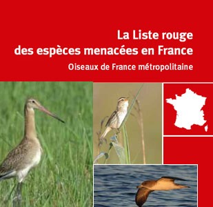 Jacques Comolet-Tirman et la Liste Rouge des oiseaux nicheurs de France