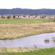 Les « prairies à rapaces » du bassin du Drugeon (Doubs)