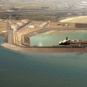 Le projet de terminal méthanier de Dunkerque et son impact sur l’avifaune