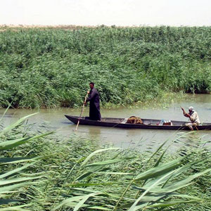 La situation des marais irakiens en 2008