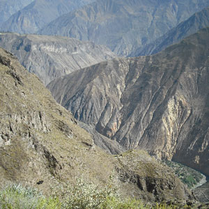 Voyage nature et culture au Pérou du 27 novembre au 12 décembre   2005