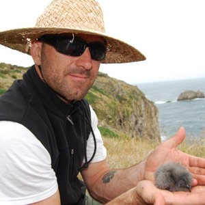 Matt Rayner et l’Océanite de Nouvelle-Zélande, un oiseau retrouvé