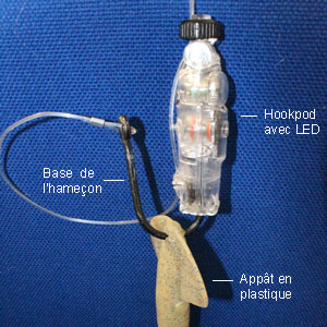 Le Hookpod, une invention intelligente pour sauver des albatros