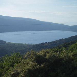 Séjour ornithologique en Croatie du 15 au 26 juillet 2005