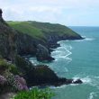 The Old Head of Kinsale (Irlande) : oiseaux marins nicheurs et migrateurs