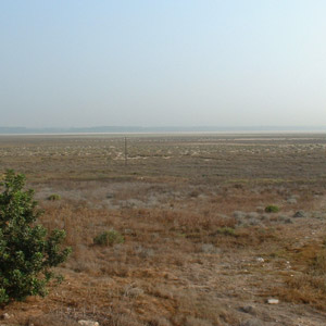 Assister au passage des Grues demoiselles à Chypre à la fin de l’été