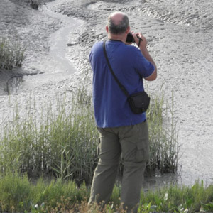 Filmer les oiseaux avec un appareil photo : l’expérience de René Droog