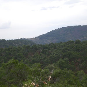 Séjour ornithologique en Grèce du 16 au 25 avril 2004 : première partie