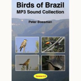 Birds of Brazil 2.0 (MP3 DVD)