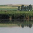 Le delta du Danube et la Dobroudja (Roumanie) du 27 juillet au 14 août 2003