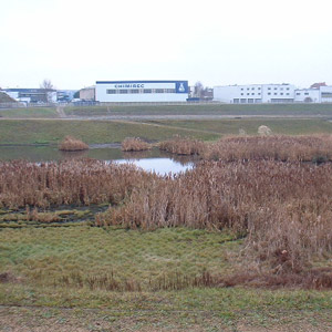 L’observation des oiseaux du bassin de la Molette à Dugny (93)