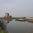 Séjour dans le delta du Pô et les Valli di Comacchio (Italie) en mars 2003