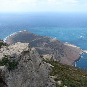 Séjour ornithologique en Tunisie du 9 au 16 mars 2003